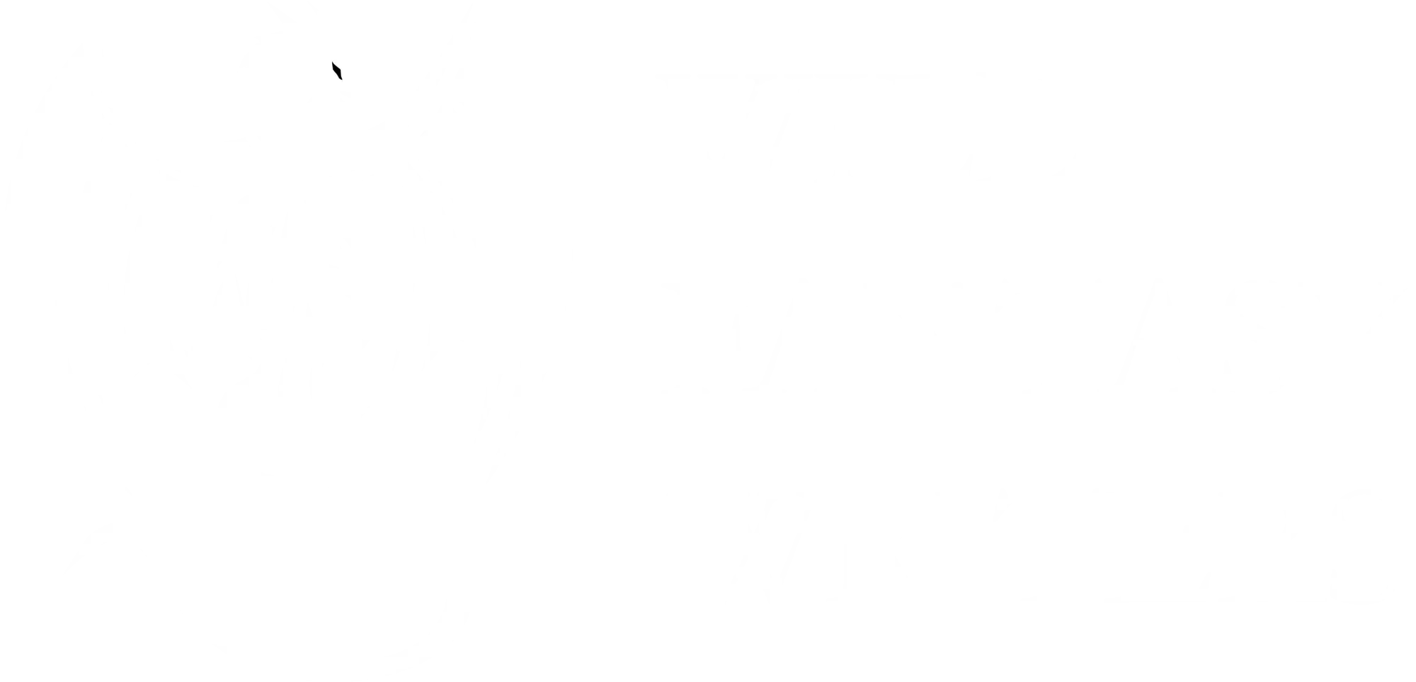 Logo Wild Fantasy